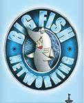 Big Fish Networking